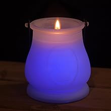 Amazon.com: Coleman Color Changing LED Citronella Outdoor Scented