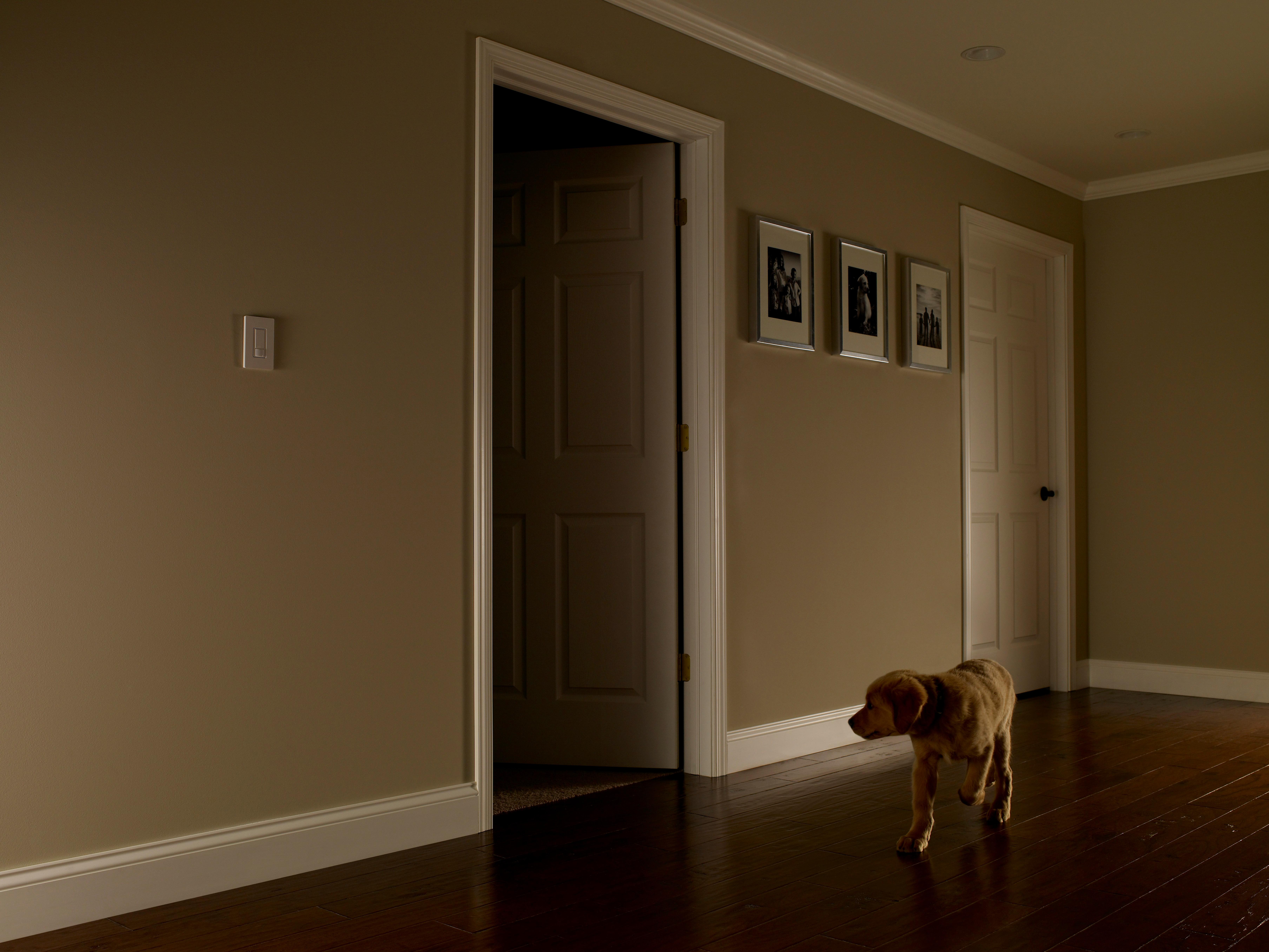 Lutron Maestro C.L Dimmer and Motion Sensor, SinglePole and Multi