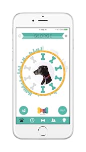 wonderwoof app