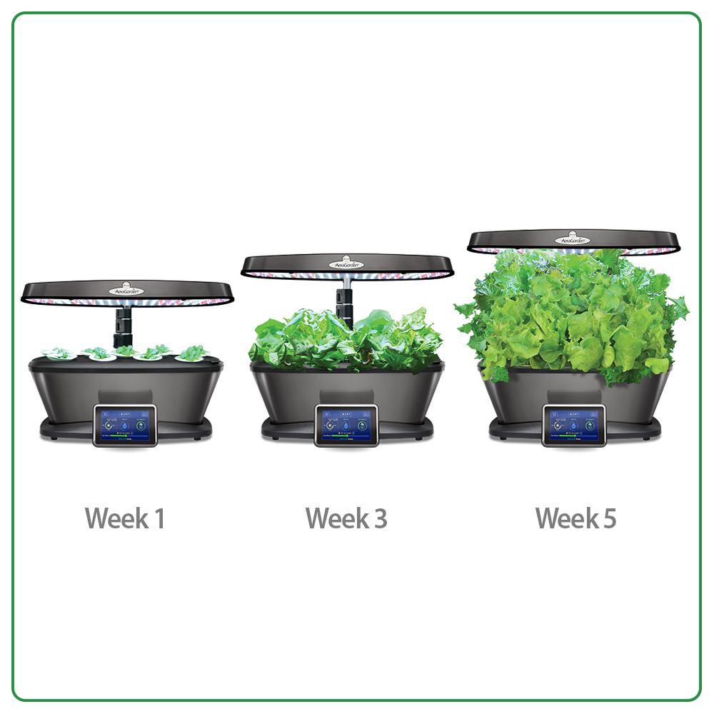 AeroGarden Bounty Elite WiFi with Gourmet Herb Seed Pod