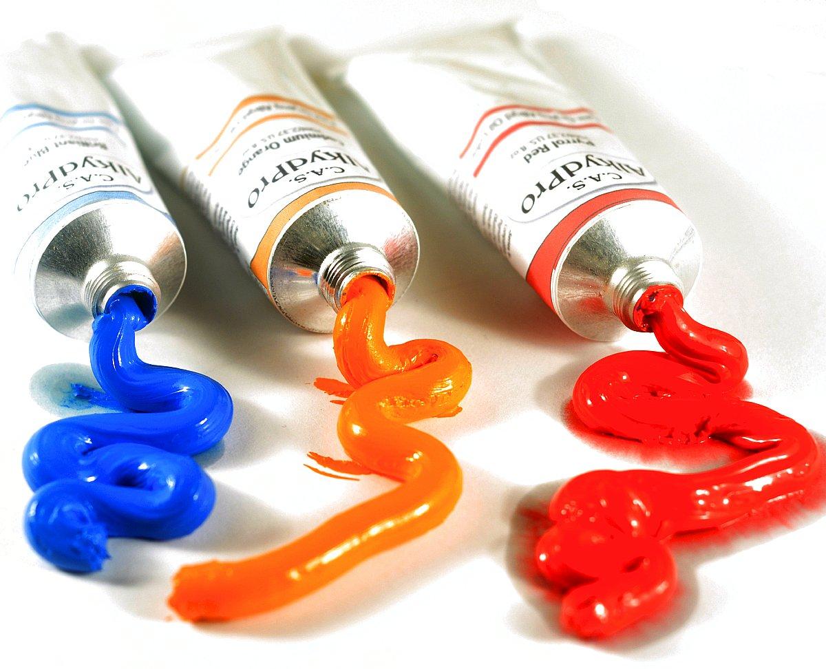 C.A.S. Paints AlkydPro FastDrying Oil Color Paint Can, 16