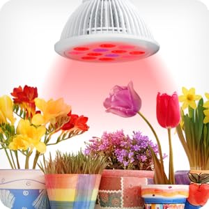 Led Lights Lighting Bulb Garden lights