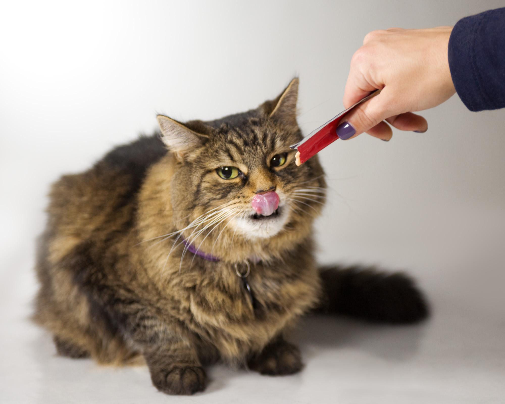 Hartz Delectables Squeeze Up Cat Treat, Tuna, 4Ct (Pack of