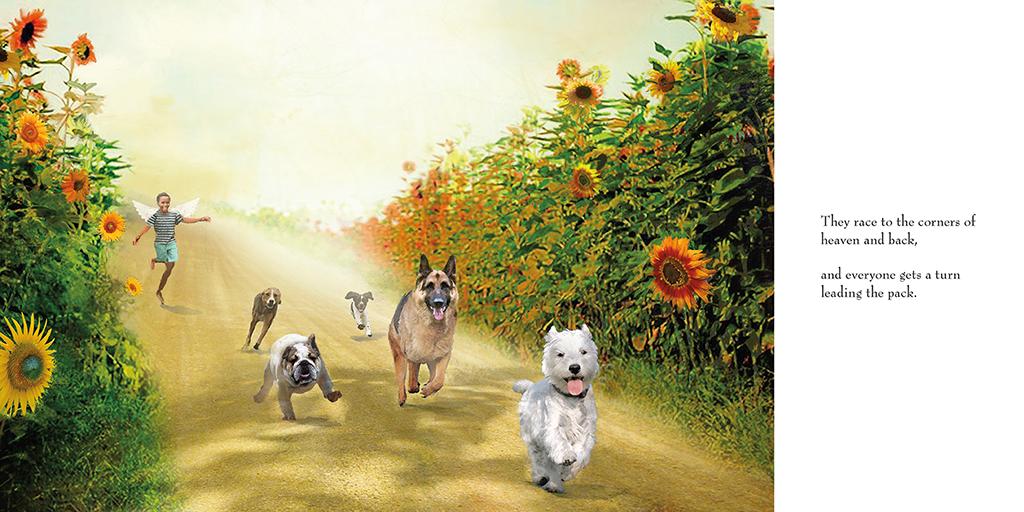 The Heaven of Animals Nancy Tillman 9780312553692 Books