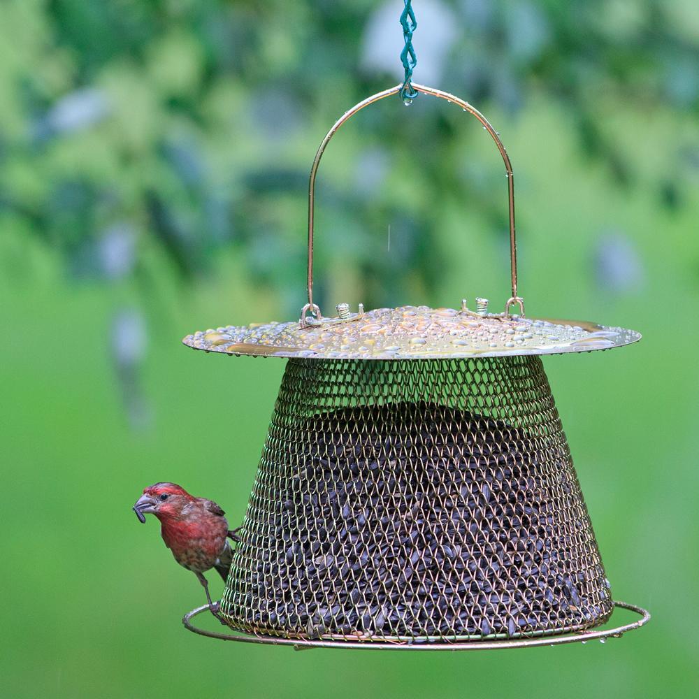 No/No Brass Finish Original Bird Feeder with Roof
