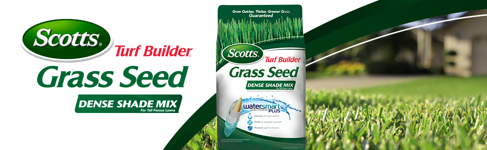 Amazon.com : Scotts 18341 Grass Seed, 7-Pound : Grass Plants : Garden