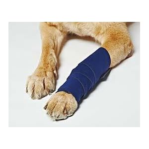 petflex no chew petsmart