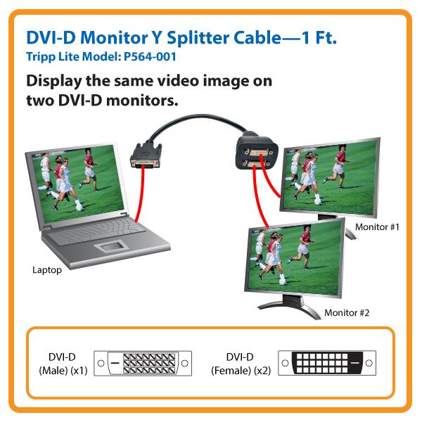 Tripp Lite DVI Splitter Cable, Digital Monitor Y Cable (DVID M to 2x F) 1ft.(P564