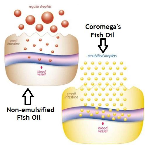 Coromega Omega3 Fish Oil Squeeze Packets, DHA and EPA