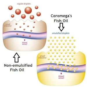 emulsification diagram, oil water emulsification, emulsified fish oil