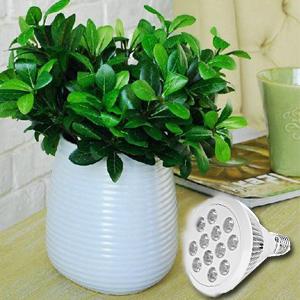 plant grow lights, plant growing lights,grow light bulb