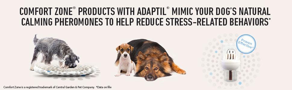 comfort zone adaptil