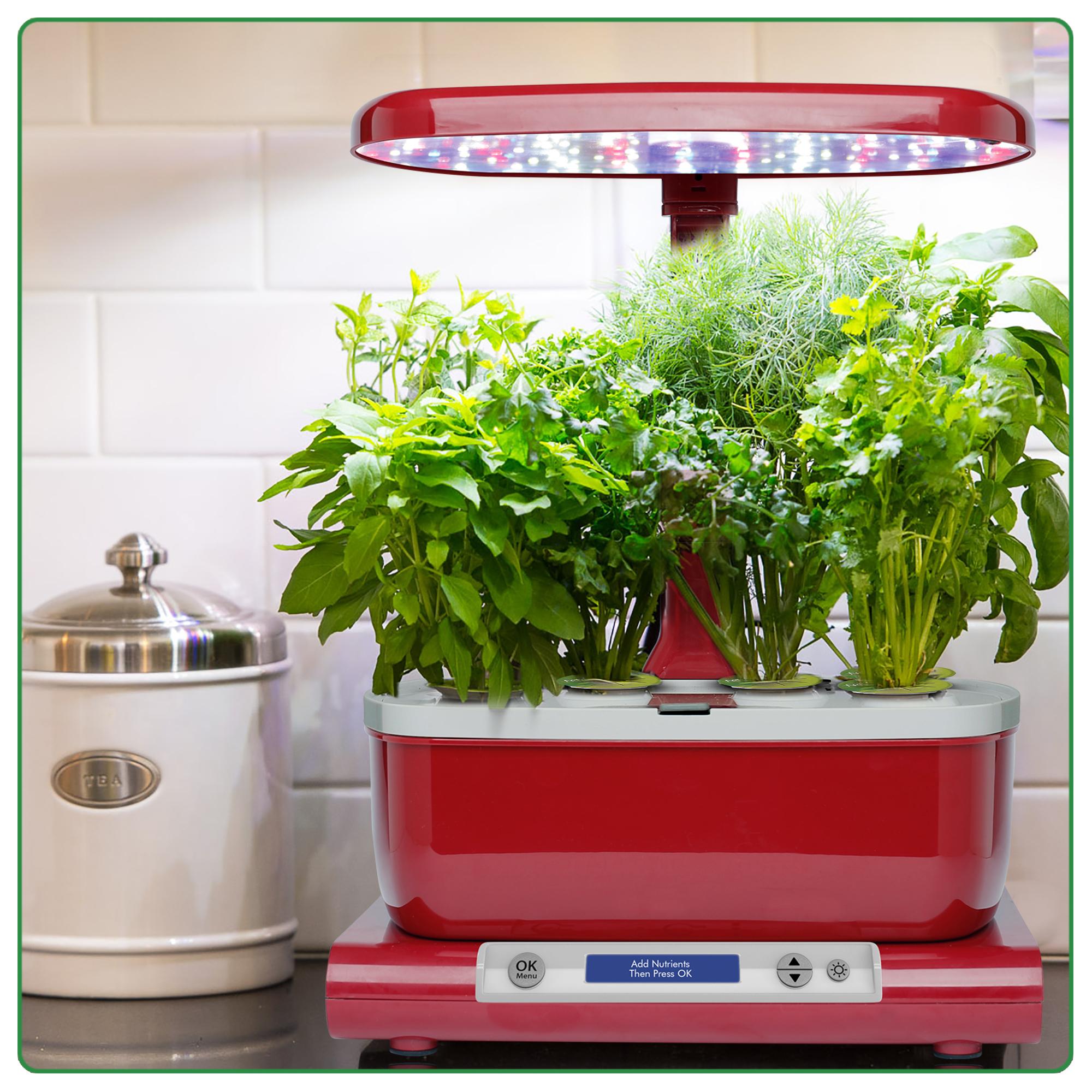 Amazon.com : AeroGarden Harvest (Classic) with Gourmet Herb Seed Pod