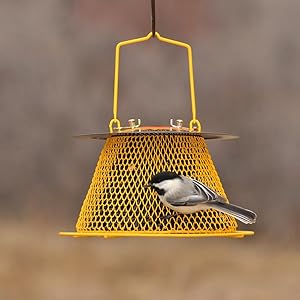 Amazon Com Perky Pet Dsr00386 No No Designer Single Wild Bird