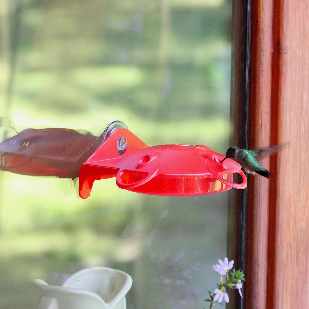 PerkyPet Plastic Window Hummingbird Feeder HBW1 Garden