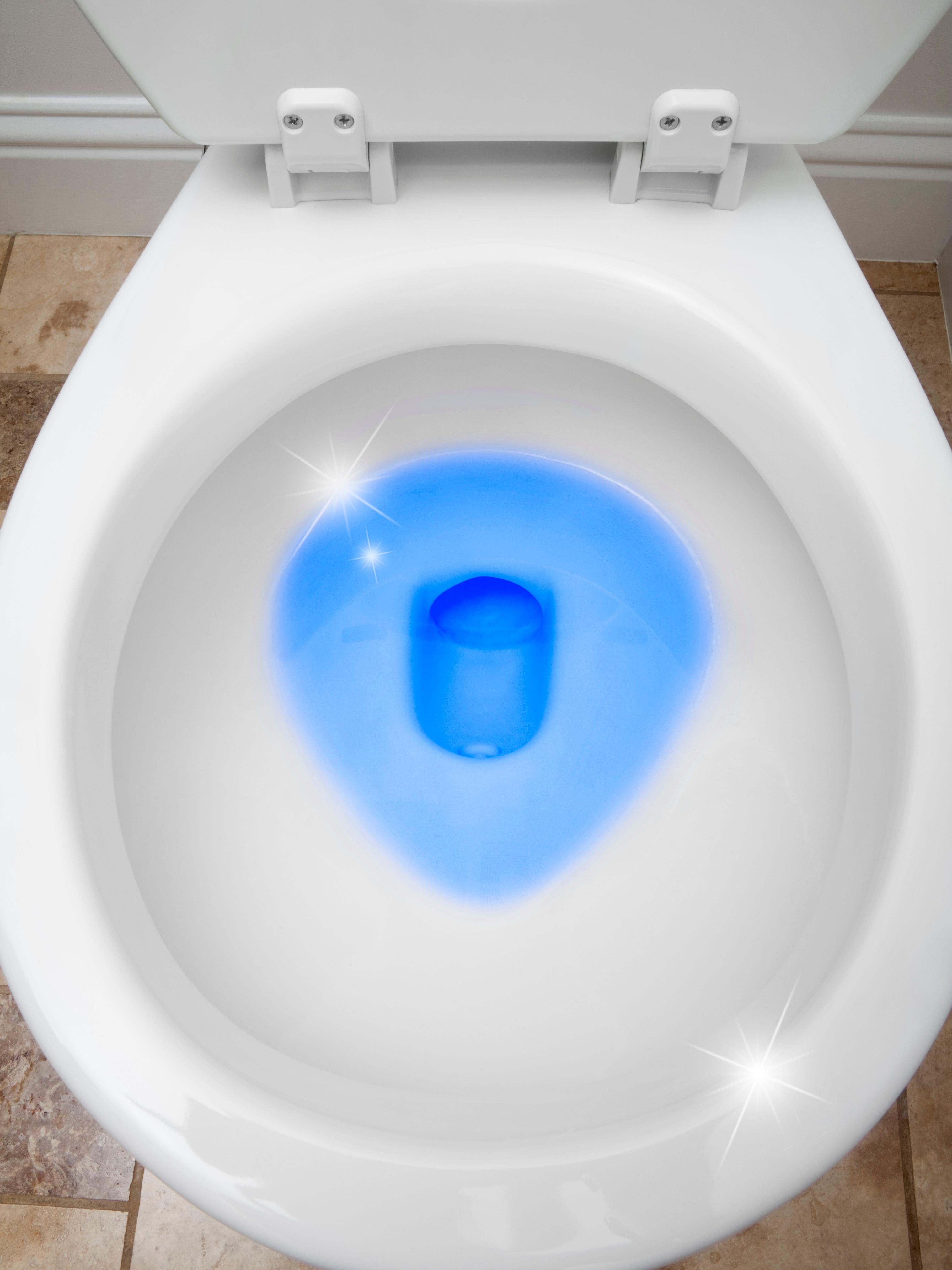 Clorox Automatic Toilet Bowl Cleaner Tablets, Bleach & Blue