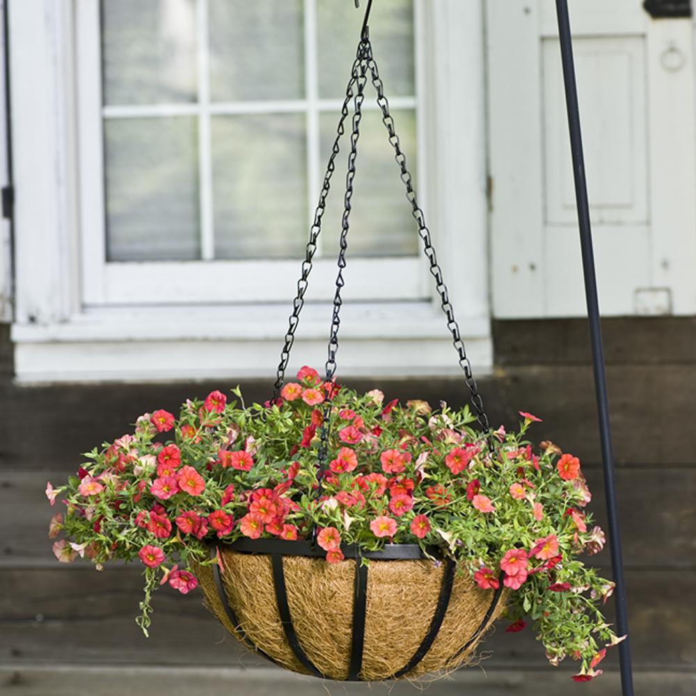 CobraCo Black 14Inch English Flatwire Hanging Basket HPF14B Garden & Outdoor