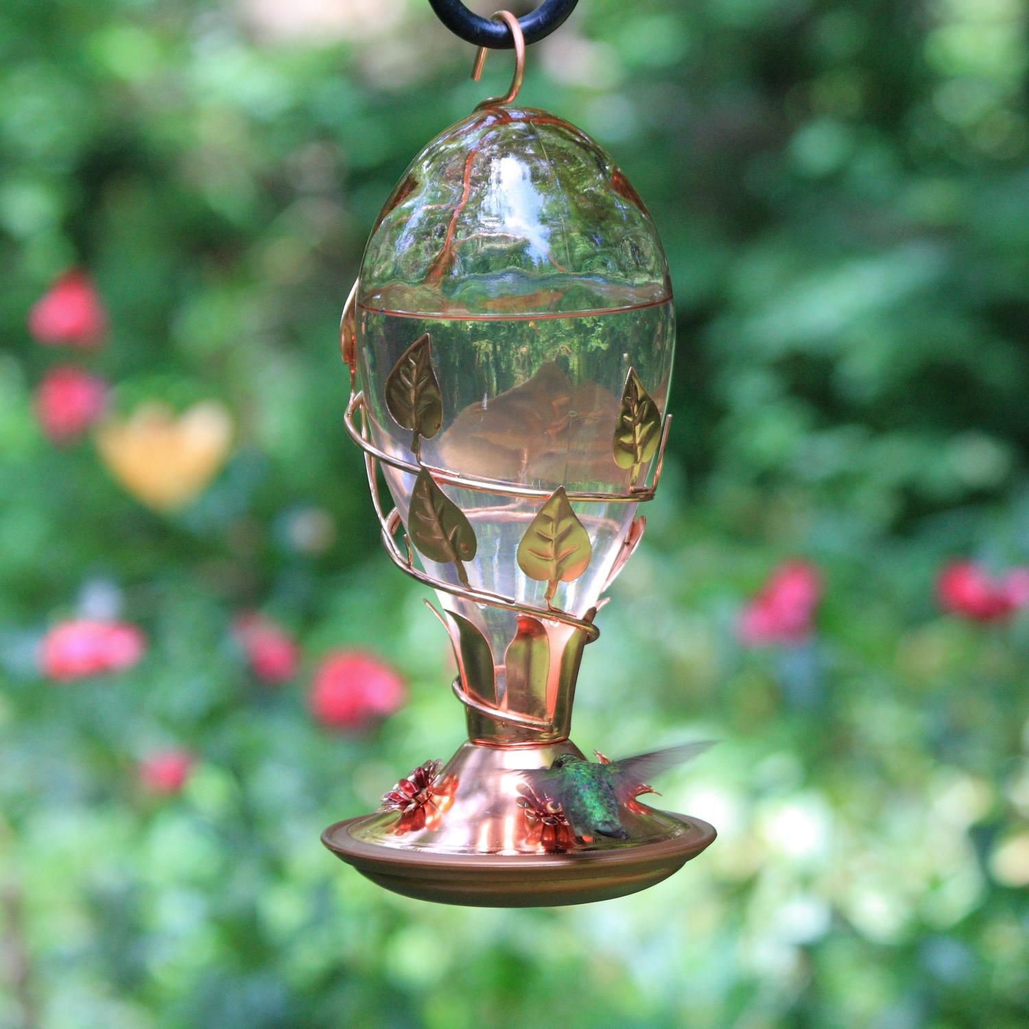 PerkyPet Looking Glass Hummingbird Feeder Wild Bird