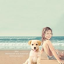 dog activity tracker