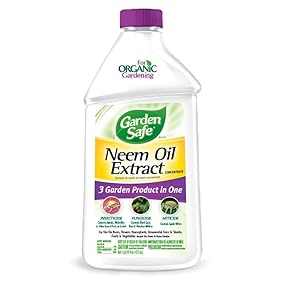 Amazon.com : Garden Safe Neem Oil Extract Concentrate (HG-83179) (16 fl