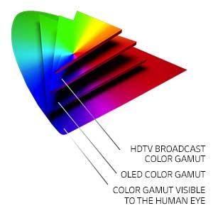 Intense Color