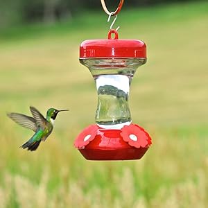 Amazon Com Perky Pet 8 Oz Glass Top Fill Hummingbird Feeder