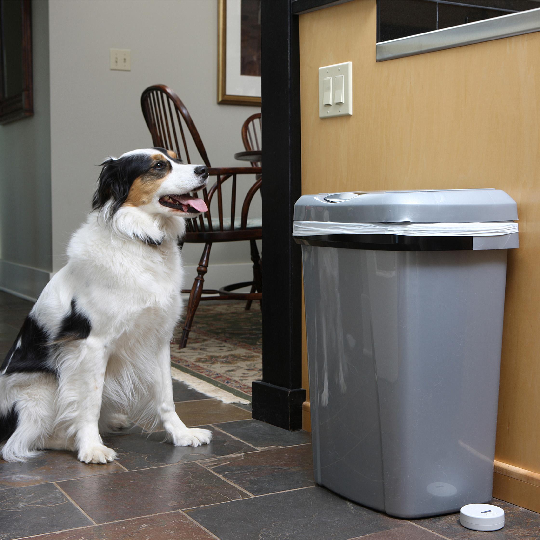 PetSafe Pawz Away Pet Barriers with Adjustable Range, Pet