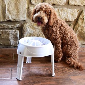 Amazon Com Outward Hound 51011 3in1 Up Feeder Elevated Raised