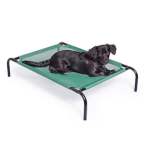elevated cooling dog bed