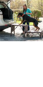 Pet Gear Free-Standing Foldable Pet Step, Large - coming soon!