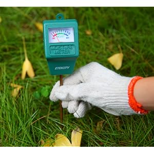 Moisture Meter