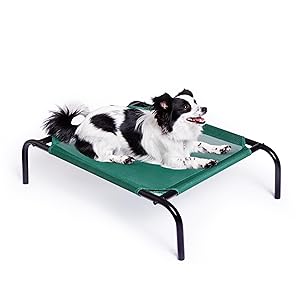 elevated cooling dog bed