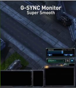 Agon 24" Gaming Monitor