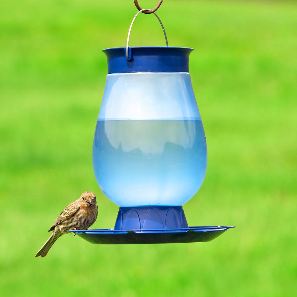 PerkyPet 782 Top Fill Bird Waterer Garden & Outdoor