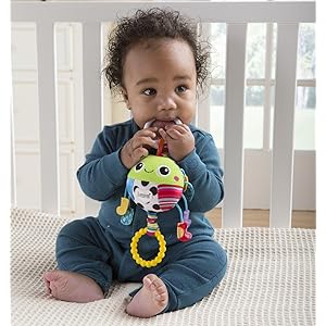 lamaze spider