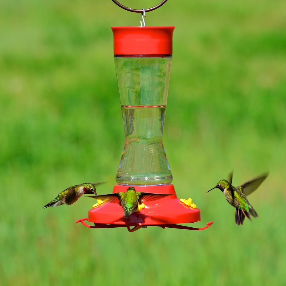 PerkyPet 210PB Pinch Waist Glass Hummingbird Feeder