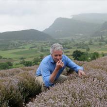 LEMON THYME AND ROSEMARY