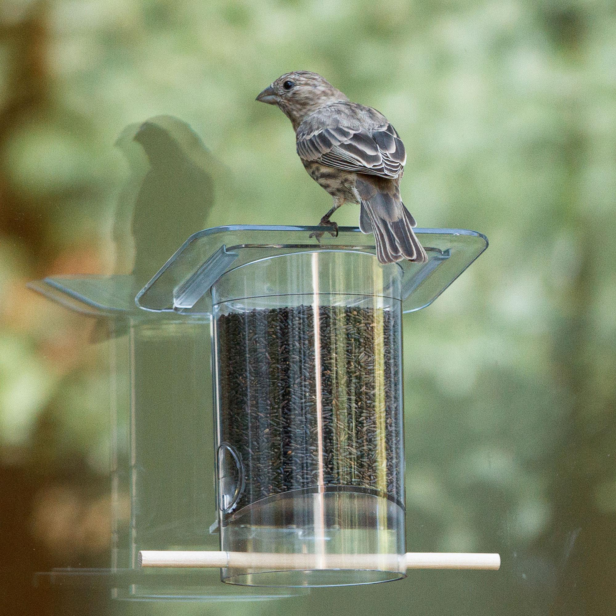 PerkyPet Window Bird Feeder 349 Stick To Window Bird