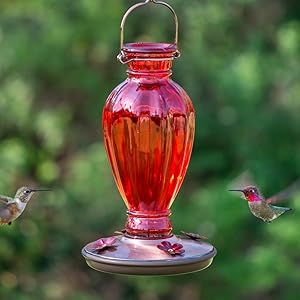 Amazon Com Perky Pet 8133 2 Daisy Vase Vintage Glass Hummingbird