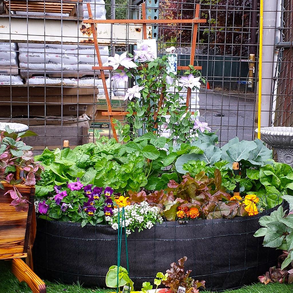 Smart Pots Big Bag Bed Fabric Raised Bed Patio, Lawn & Garden