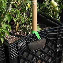 garden ties, gardening, staking, plant ties