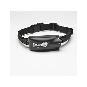 havahart wireless dog fence