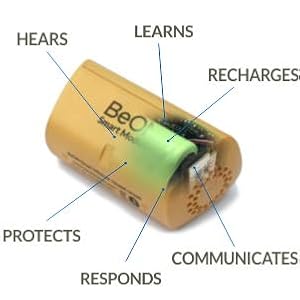 BeON Home Protection System, Set of Three Bulbs 7