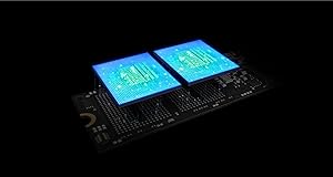 High-Performance NVMe Interface