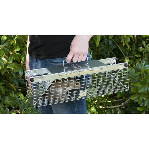 Havahart 1025, 2Door Animal Trap, Small Home Pest
