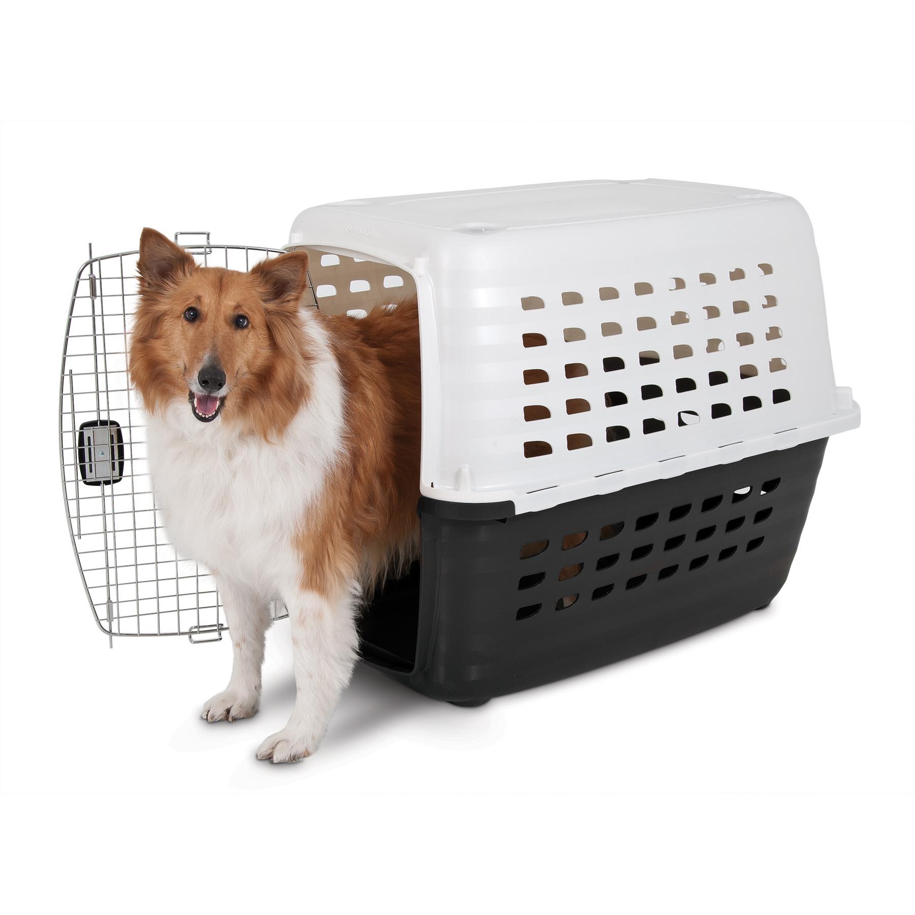 Petmate 41037 Compass Fashion Pets Kennel with Chrome Door