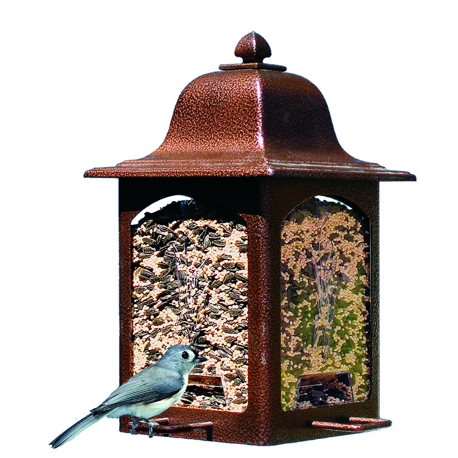 PerkyPet Tulip Garden Lantern Bird Feeder 367 Wild