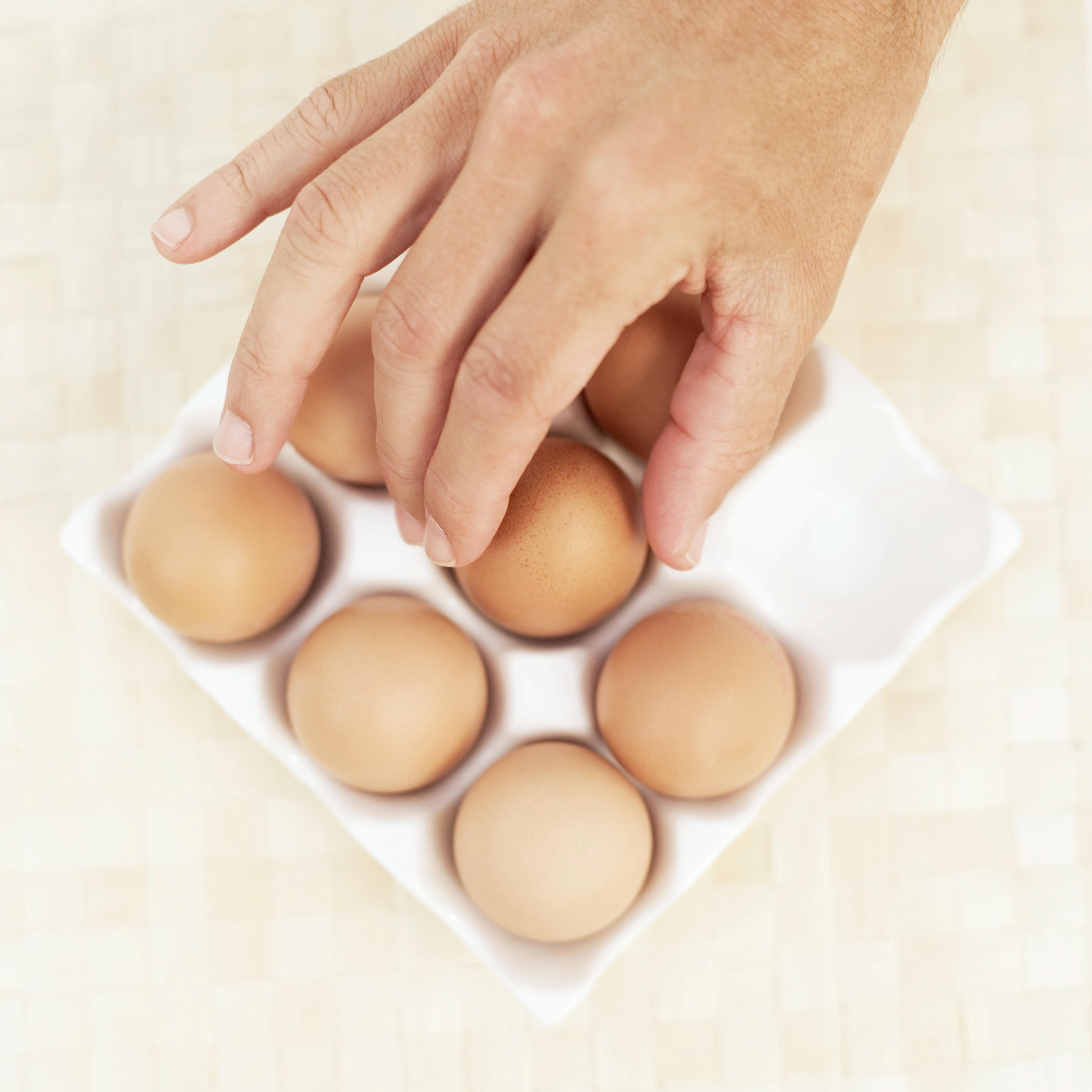 Fit & Fresh Portable Drink and Formula Mixer Kitchen & Dining