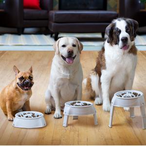 Amazon Com Outward Hound 51011 3in1 Up Feeder Elevated Raised