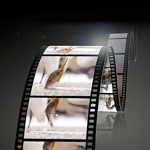 PANASONIC LUMIX H-FSA100300 - VIDEO SUPPORT